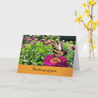 Butterfly- Thinking of You (blank inside) Card
