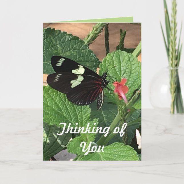 Butterfly Thinking of You Card (Front)