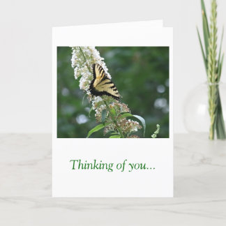 Butterfly Thinking of You Card