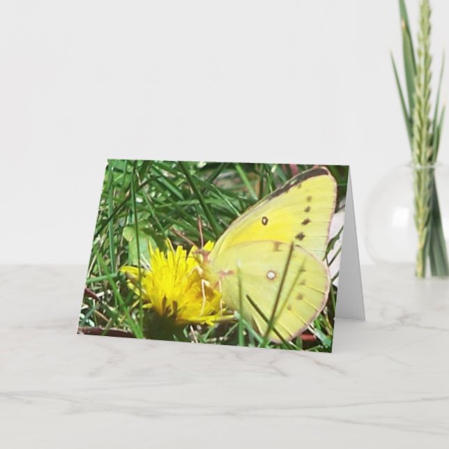 Butterfly - Thinking Of You Card (Front)