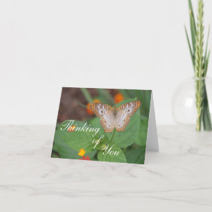 Butterfly Thinking of You Card
