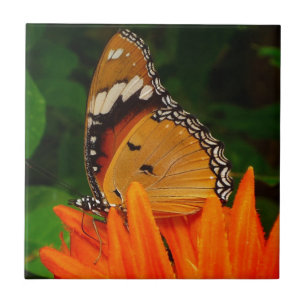 Butterfly Tile