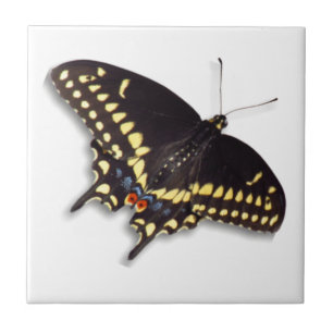 Butterfly Tile - Black Swallowtail
