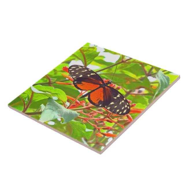 "BUTTERFLY" TILE/TRIVET (PHOTOG) CERAMIC TILE (Side)