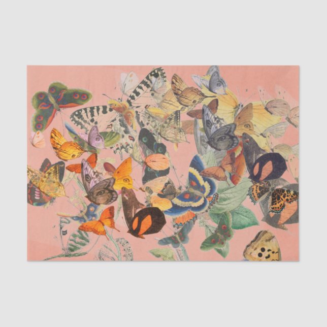 BUTTERFLY Tissue Paper (Front)