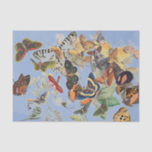 BUTTERFLY Tissue Paper