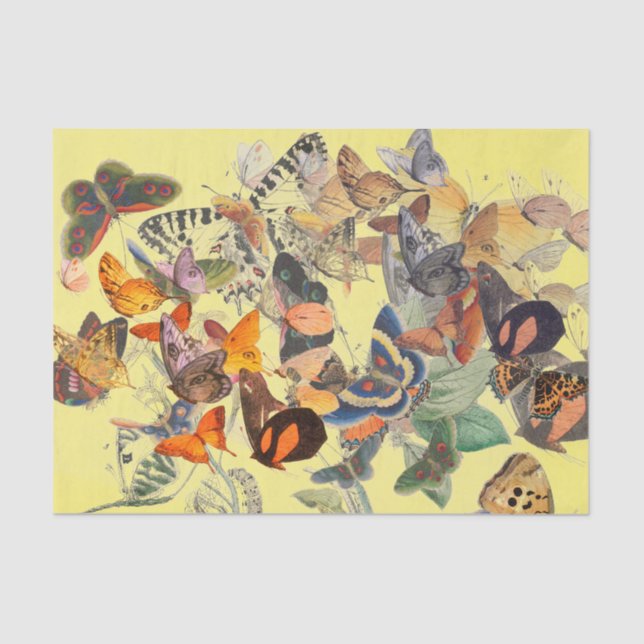 BUTTERFLY TISSUE PAPER IN YELLOW (Front)