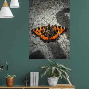 Butterfly Tortoiseshell Photo Grunge Style Art Poster