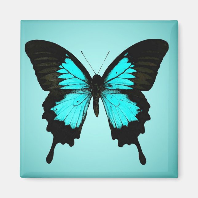 Butterfly - turquoise blue and black magnet (Front)