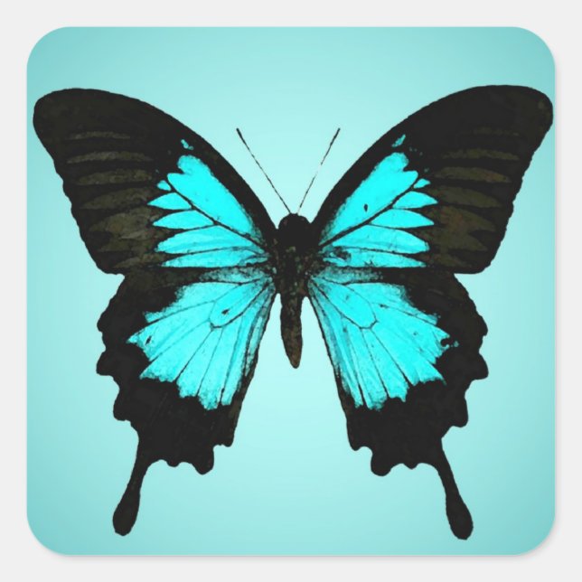 Butterfly - turquoise blue and black square sticker (Front)
