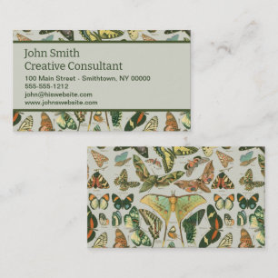 Butterfly Vintage Antique Butterflies Art Business Card