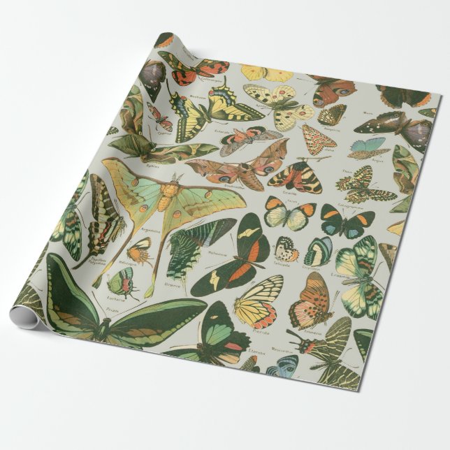 Butterfly Vintage Antique Butterflies Art Wrapping Paper (Unrolled)
