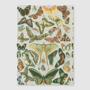 Butterfly Vintage Antique Butterflies Pattern