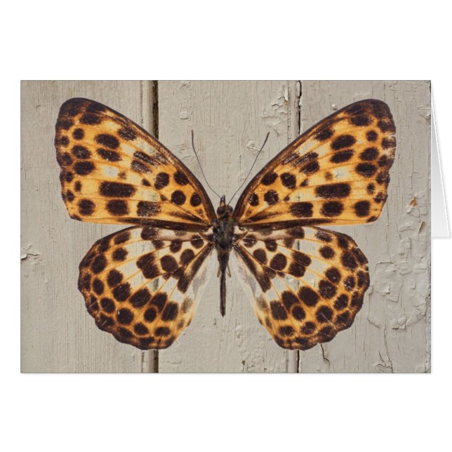 Butterfly w/Leopard Spots on Wood Background Card (Front Horizontal)