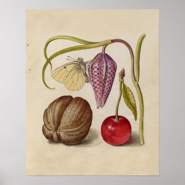 Butterfly Walnut Flower and cherry Watercolor Poster (Front)