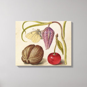 Butterfly Walnut Flower Cherry Watercolor Art Canvas Print