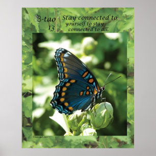 Butterfly Way 13 - Stay connected Poster