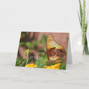 Butterfly Wings - Butterflys & Dolphins Holiday Card