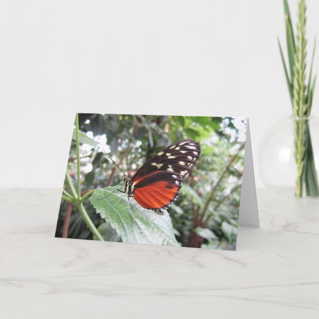 Butterfly wings card (Front)