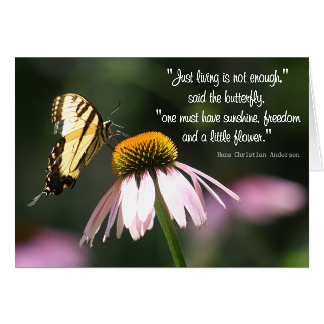 Butterfly Wisdom: Sunshine, Freedom, Flower. (Front Horizontal)