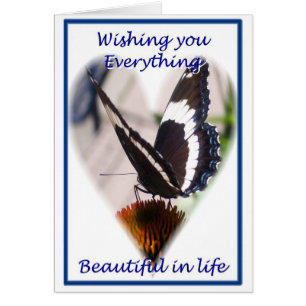 Butterfly Wishes