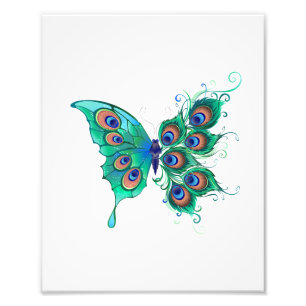 Butterfly with Green Peacock Feathers Photo Print