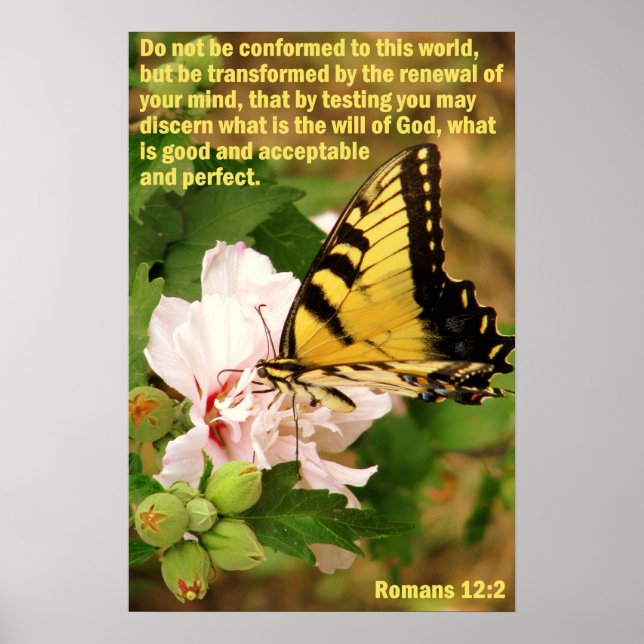 Butterfly with Romans 12:2 Poster (Front)