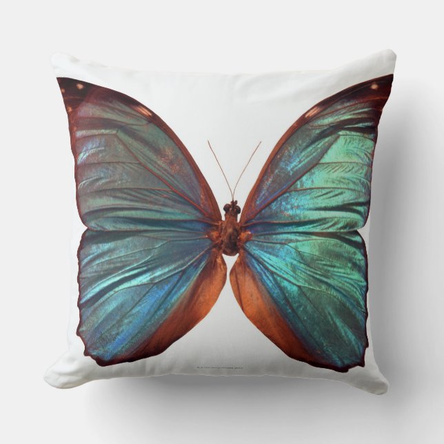 Butterfly with wings spread 2 cushion (Front)