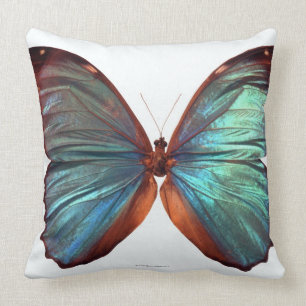 Butterfly with wings spread 2 cushion