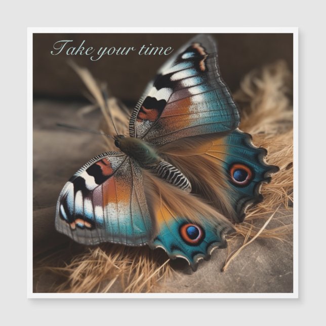 Butterfly with zebra design body (Front)