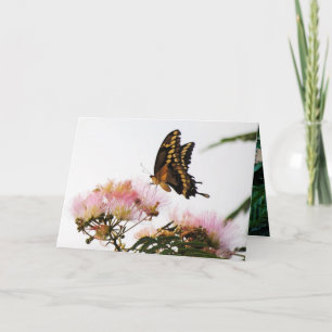 BUTTERFLY WONDERMENT CARD