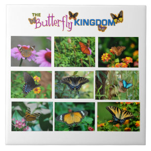 Butterfly World Ceramic Tile