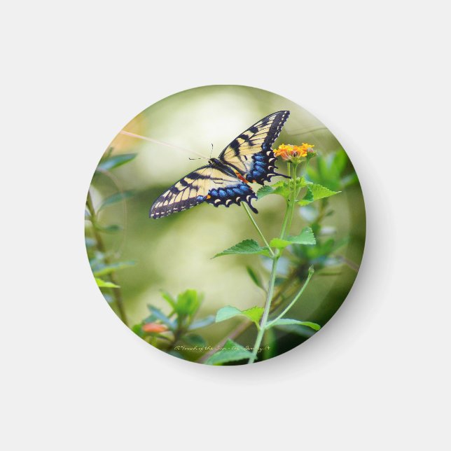 Butterfly World Magnet (Front)