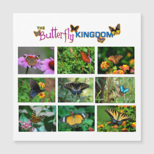 Butterfly World magnet card