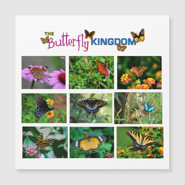 Butterfly World magnet card (Front)