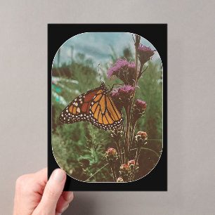butterflys orange  acrylic invitations