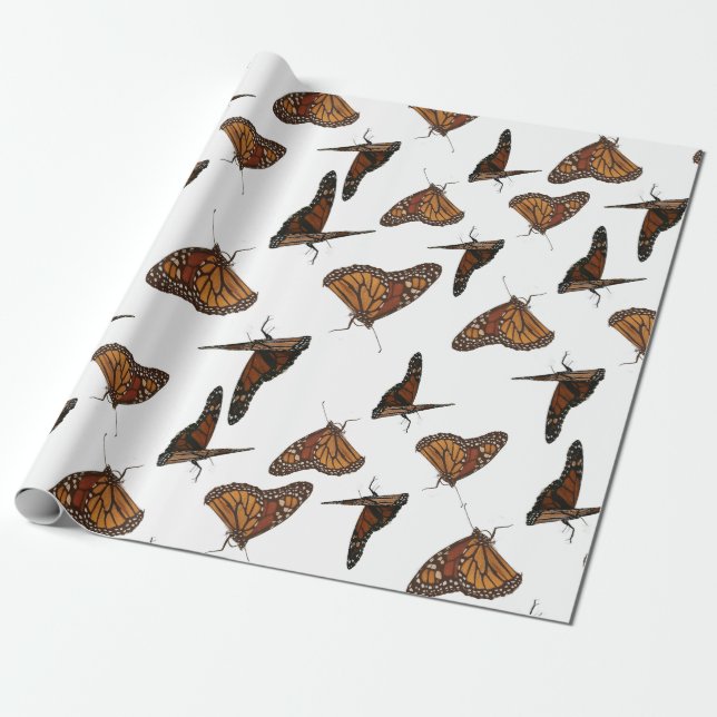 butterflys orange  wrapping paper (Unrolled)