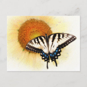 Butterflys wings, postcard