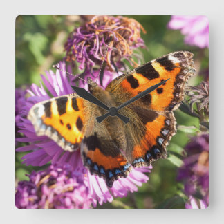 Butterly Red Admiral Square Wall Clock