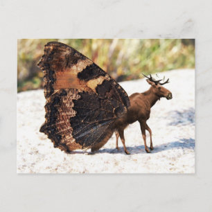 Buttermoose postcard