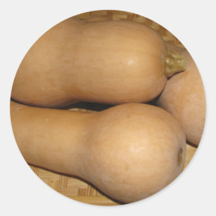 Butternut Squash Classic Round Sticker