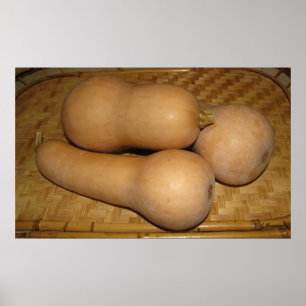 Butternut Squash Poster