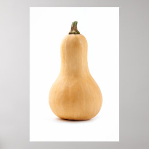 Butternut squash poster