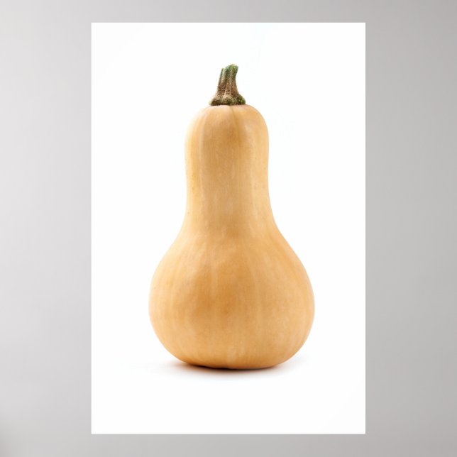 Butternut squash poster (Front)