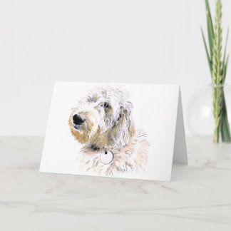Butters the Labradoodle Greeting Card