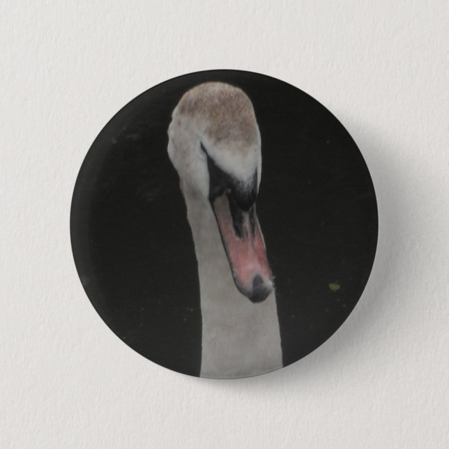 Button Baby Swan Face (Front)