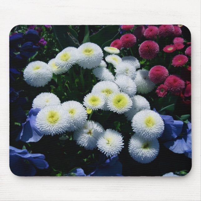 Button Chrysanthemums Mouse Pad (Front)