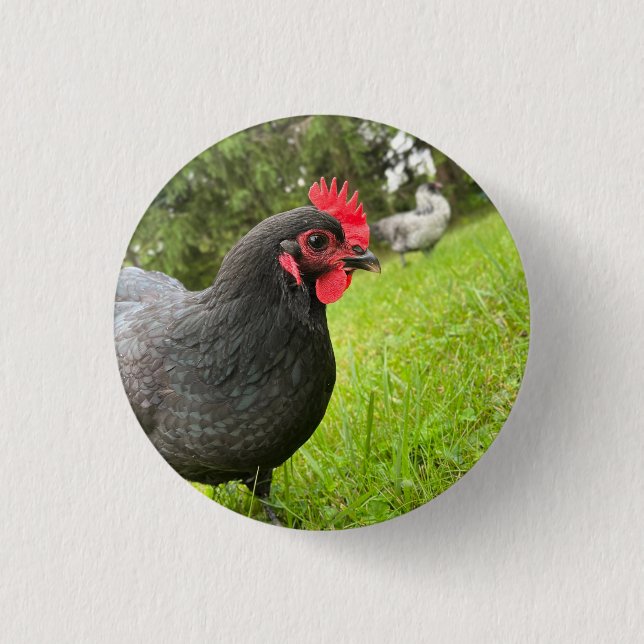 Button Cute Rooster  (Front)