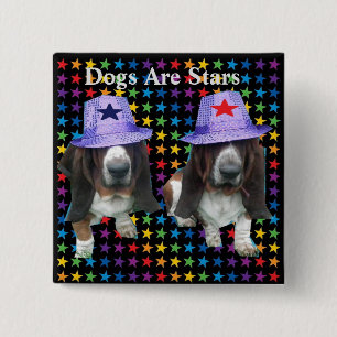 Button Dogs Are Stars
