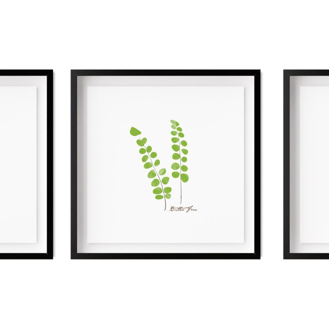 Button Fern Illustration |  Fern Series Poster (Creator Uploaded)